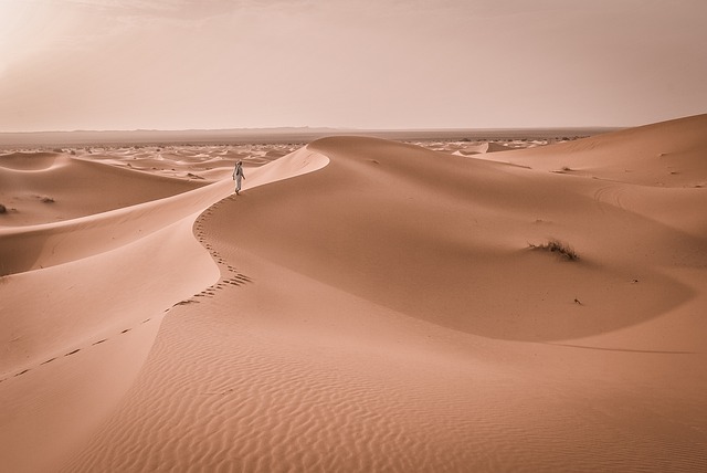 5 Lenten Lessons from the Desert