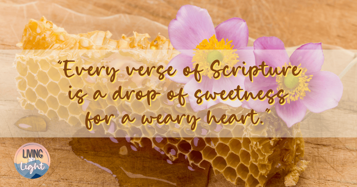 Golden honeycomb with drops of honey and pink flowers on a wooden surface, featuring the quote ‘Every verse of Scripture is a drop of sweetness for a weary heart.