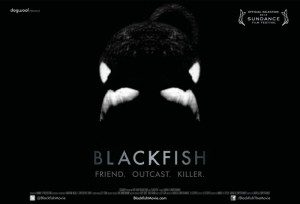 Blackfish-poster