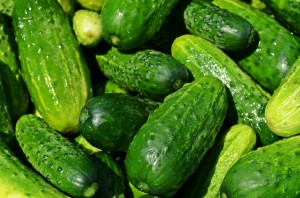 cucumbers-849269_960_720 krzys pixabay Free no attribution required