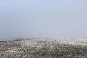 Bar Island, Maine - 2013