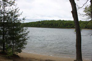 Walden Pond