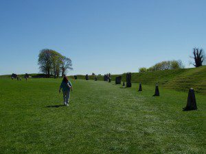 Avebury 2007