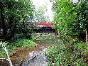 woods, a creek, a train - yep, it's North Georgia