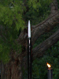 spear in tree
