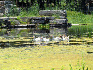 the Temple of Artemis at Ephesus