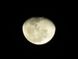 ADF Imbolc 2015 42