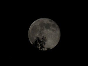 full moon 07.12.14 02
