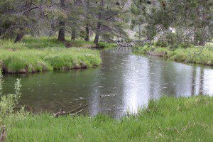 05 04 Donner Park