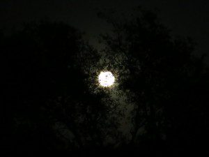 full moon 10.27.15 04