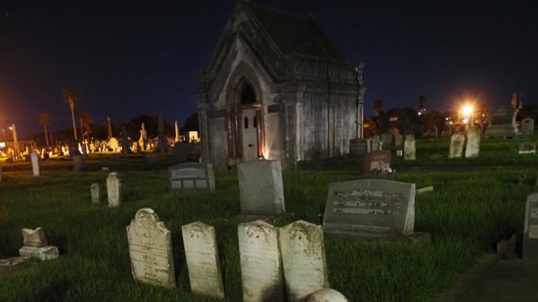 photo by John Beckett