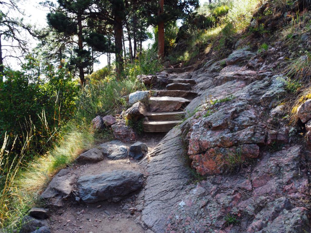 photo by John Beckett