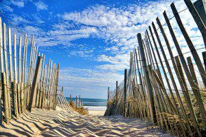 fencetoocean
