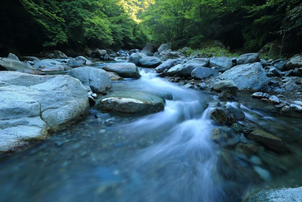 finding contentment