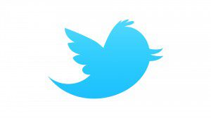 twitter bird