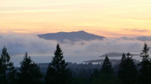 Mount_tamalpais_from_berkeley