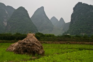 Image by  Jack Hynes (originally posted to Flickr as Stook in Guangxi) [CC BY-SA 2.0 (http://creativecommons.org/licenses/by-sa/2.0)], via Wikimedia Commons