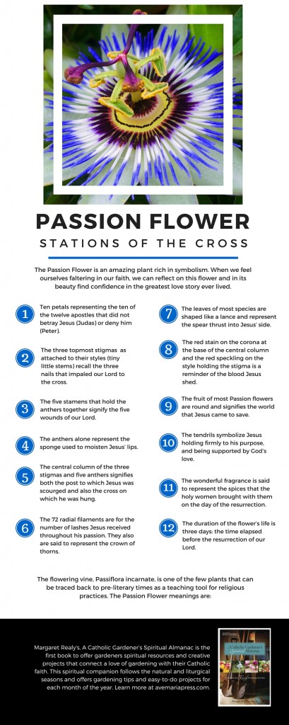 passion flower