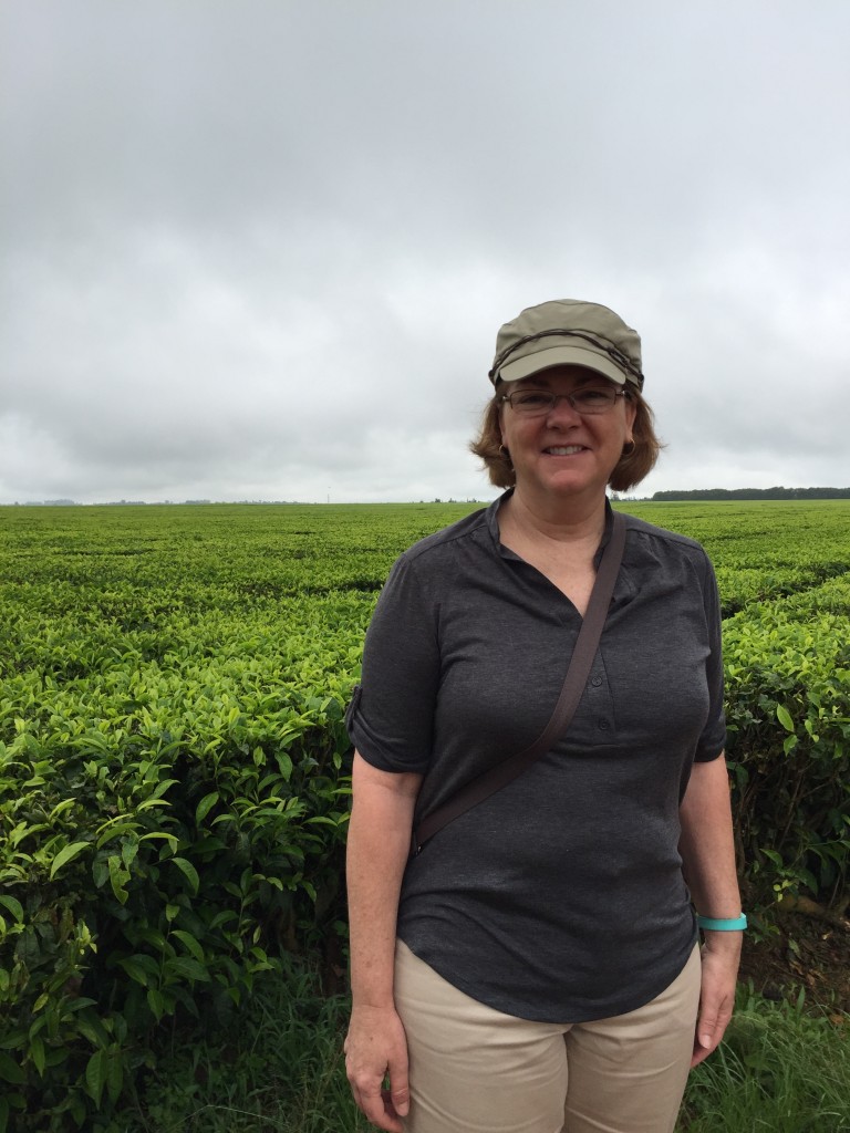 Expansive tea fields of Tanzania
