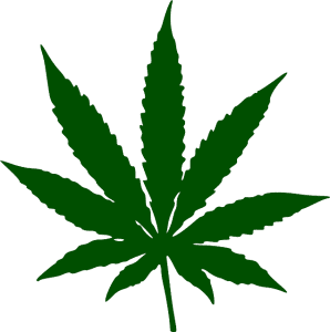 marijuana-34353_640