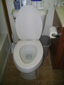 White_toilet