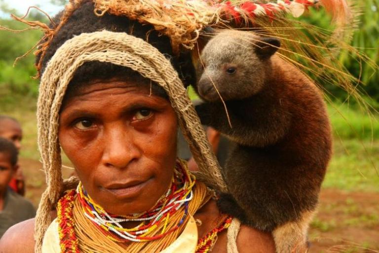 1024px-Baby_tree_kangaroo_on_the_chiefs_wifes_shoulder_-Papua_New_Guinea-17Oct2008