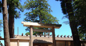 Ise-Inner Shrine