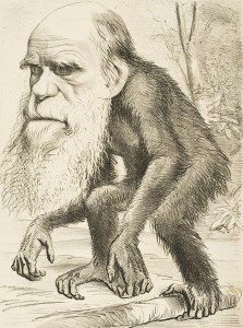 DarwinMonkey