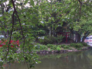 thumbnail_Shinto--Koi in Pond--Trees--Park