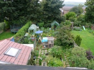 A view of Claire Gregory's Permaculture Garden.