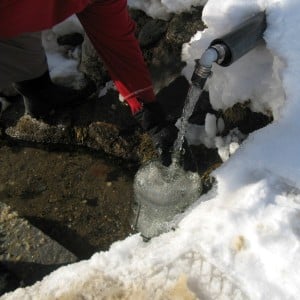 Collecting the best water on the planet, as a gift of the ecosystem.