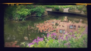 Reflections in a pond at ITC, University of Twente, Netherlands