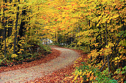 Autumn foliage splendor in the Green Mountain National Forest