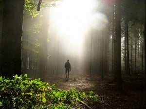 Light Walk in October by Hartwig HKD