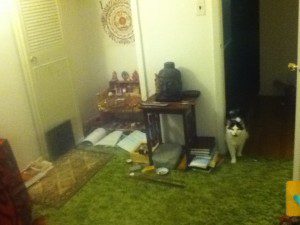 photo (3)
