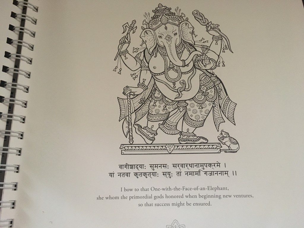 The Shakti Coloring Book: Goddesses, Mandalas, and the Power of