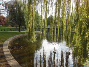 Boston Public Garden