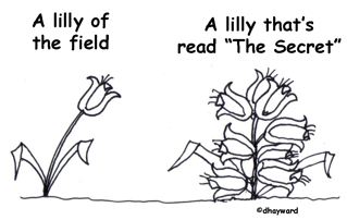 lilly.gif