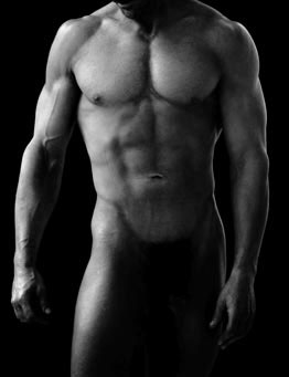 muscle.gif