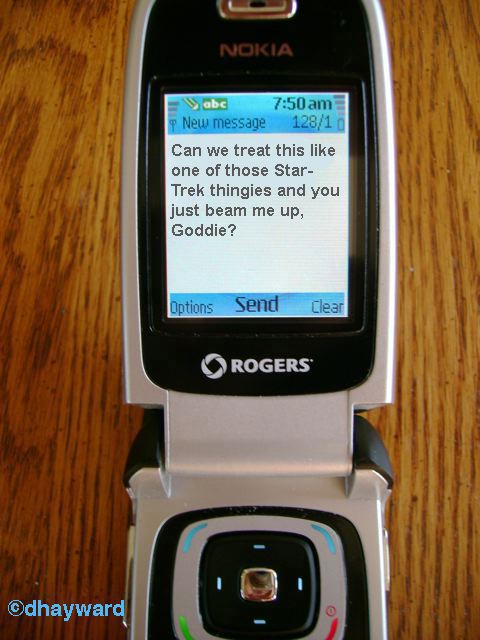 startrek.gif