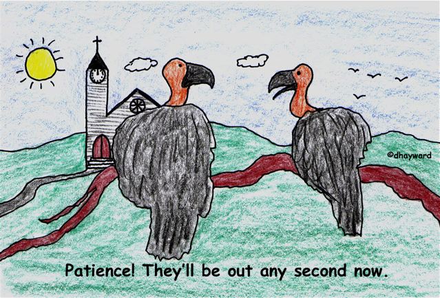 vulture-feast_2.jpg