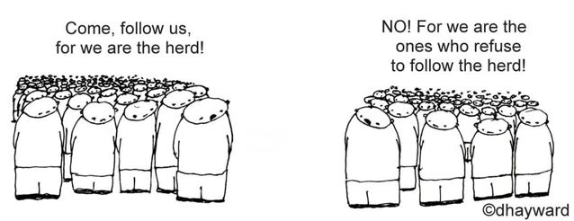 herd_2.jpg