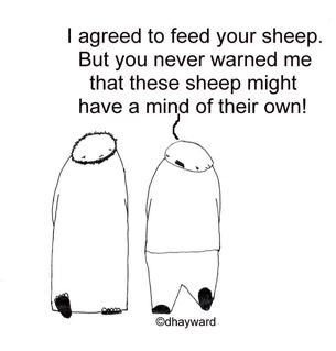 smart-sheep_3.jpg