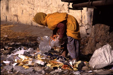 picking_through_garbage