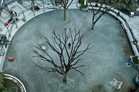 shinjuku_park