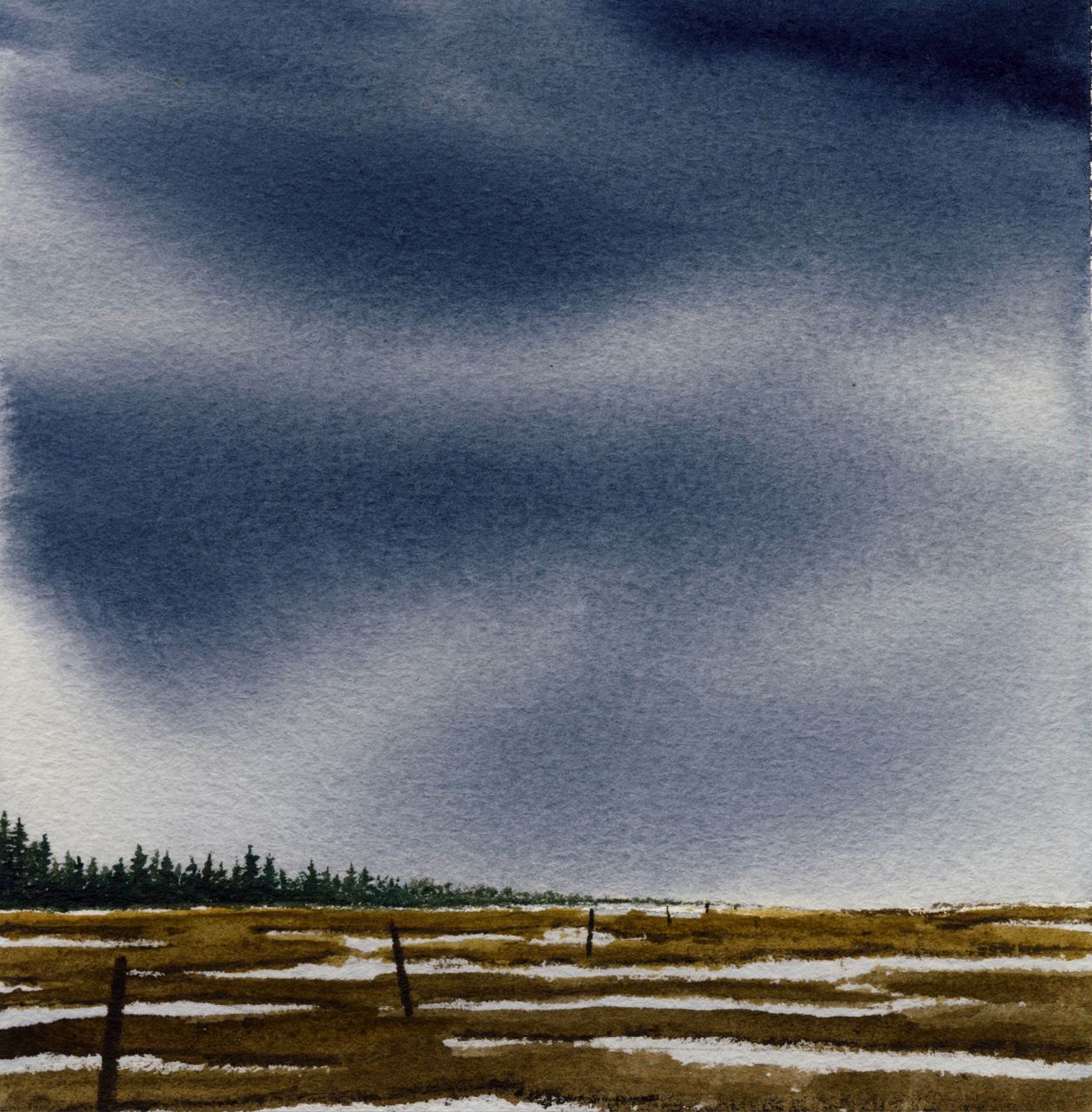 marshlands_2