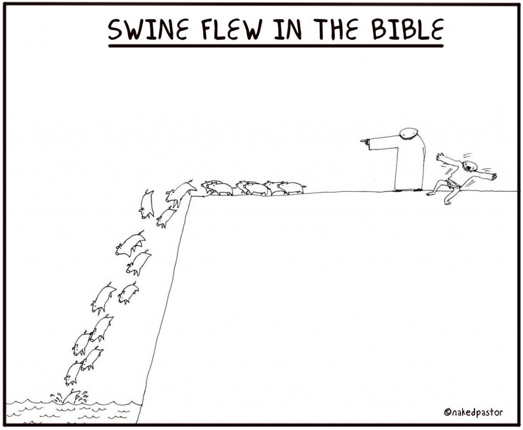 swine flew