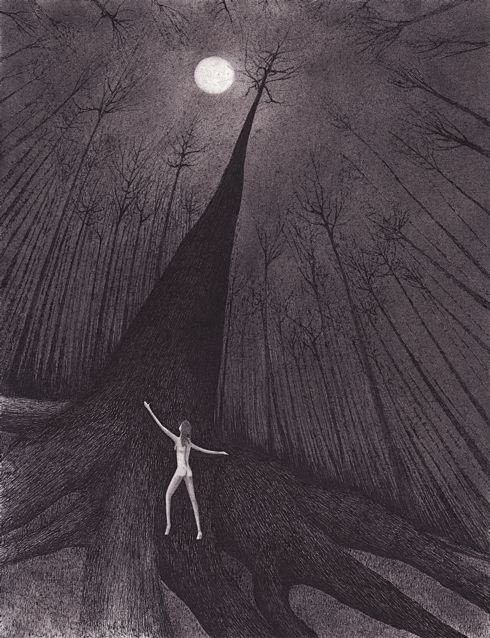 sophia rooted drawing by nakedpastor david hayward