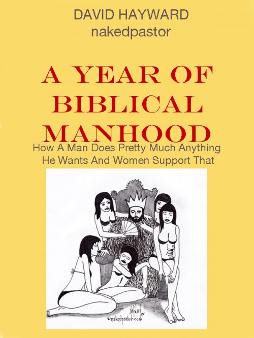 a year of biblical manhood book cartoon by nakedpastor david hayward
