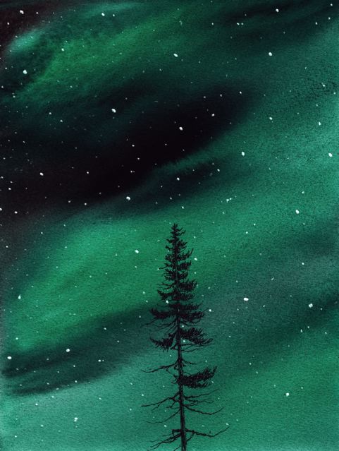 northern lights evergreen painting by nakedpastor david hayward